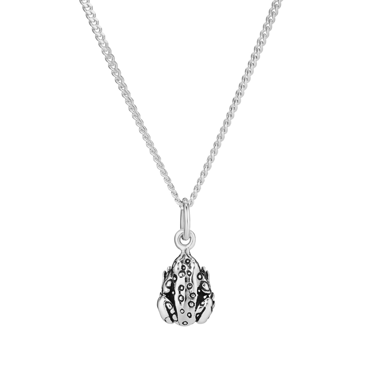SWAMP THING - Sterling Silver Gift Set